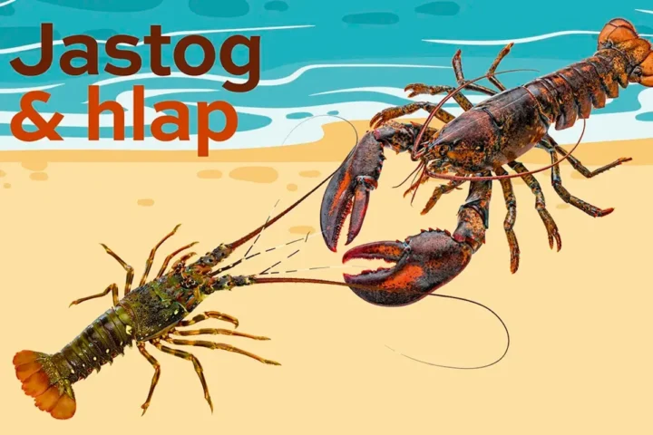 jastog i hlap