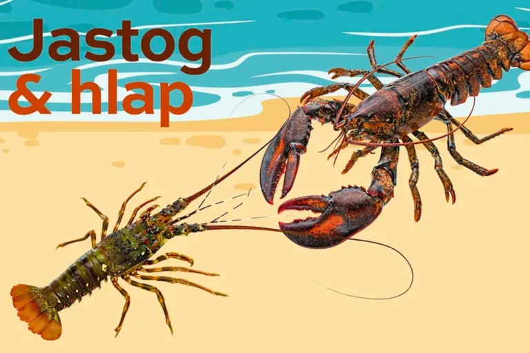 jastog i hlap