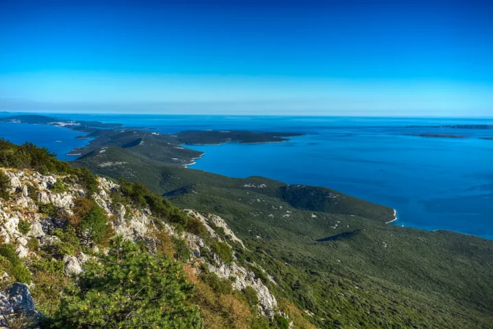 osorščica Lošinj
